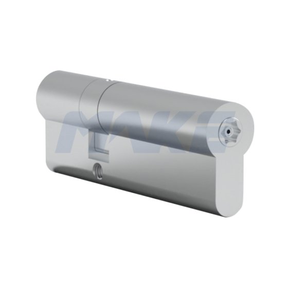 Passive Euro Profile Cylinder